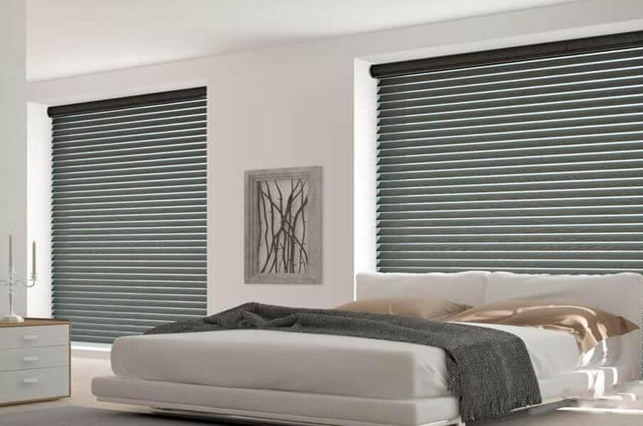 Wide Range of Styles and Options of Horizon Blinds